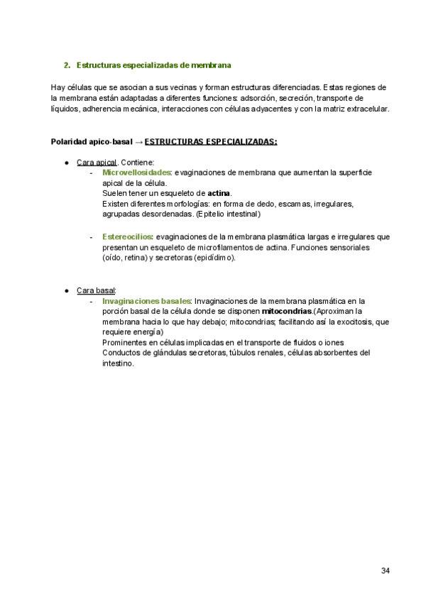 Miniatura del documento 3-Cubiertas-celulares.pdf