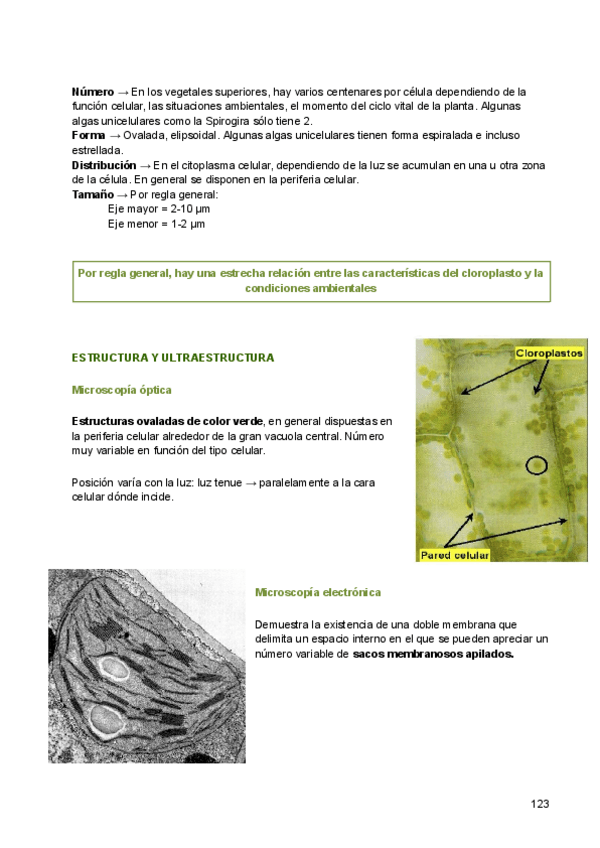 Miniatura del documento 11-Cloroplastos.pdf