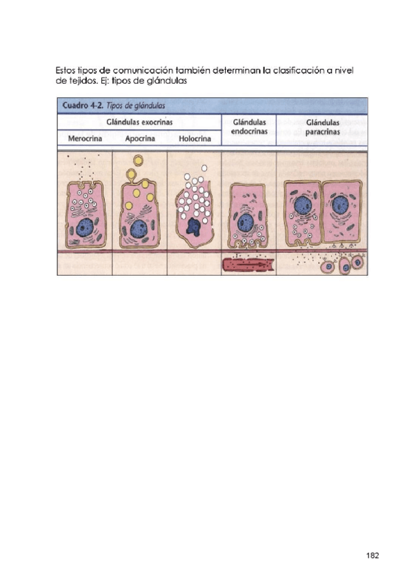 Miniatura del documento 16-Comunicacion-y-muerte-celular.pdf