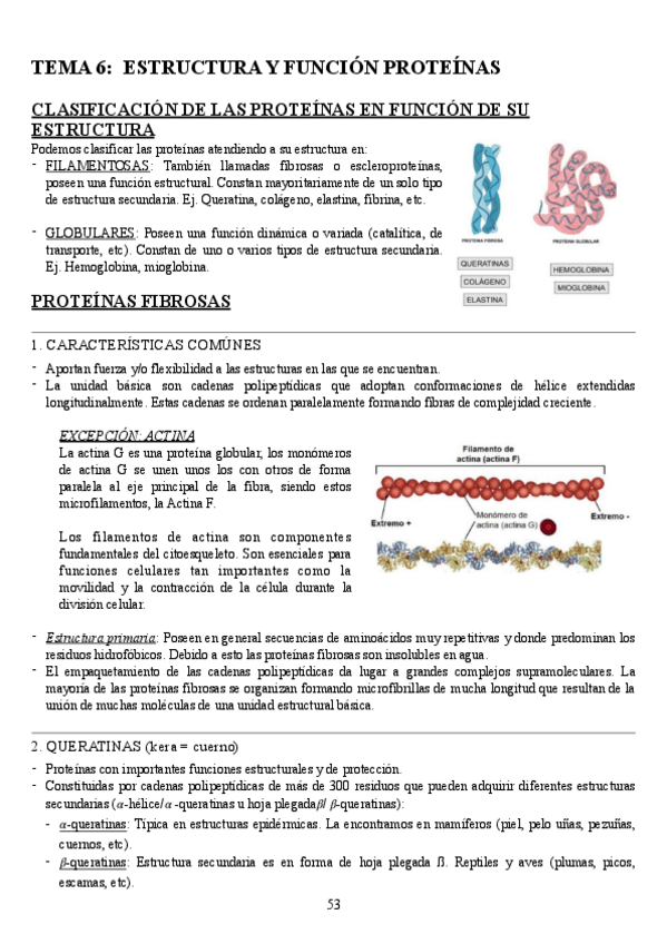 Miniatura del documento BIOQUIMICA-estructural-proteinas.pdf
