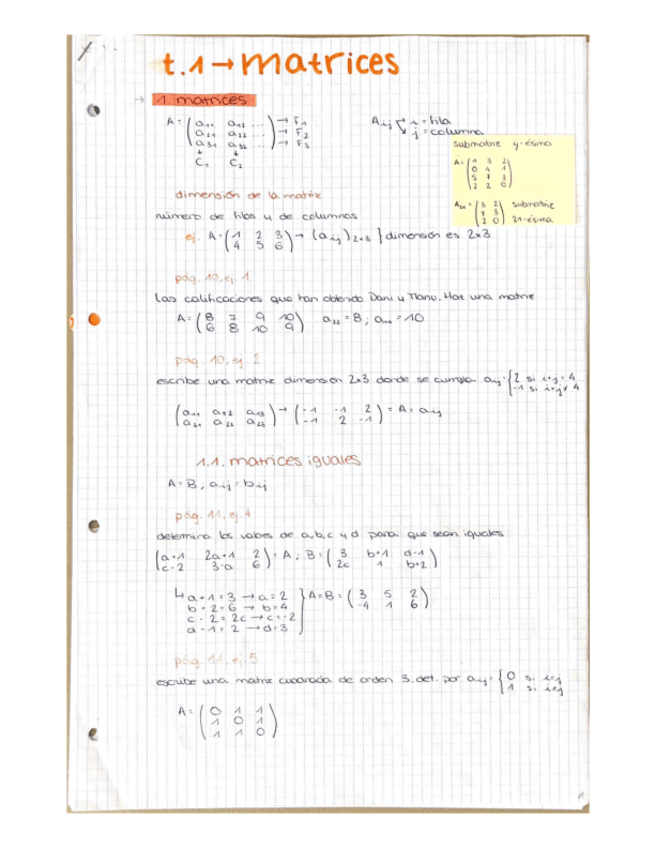 Miniatura del documento T-1.1-Matrices.pdf