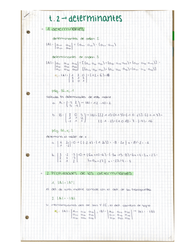 Miniatura del documento T-1.2-Determinantes.pdf