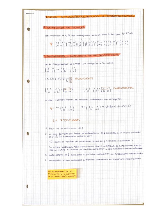 Miniatura del documento T.-4-Diagonalizacion-de-endomorfismos.pdf