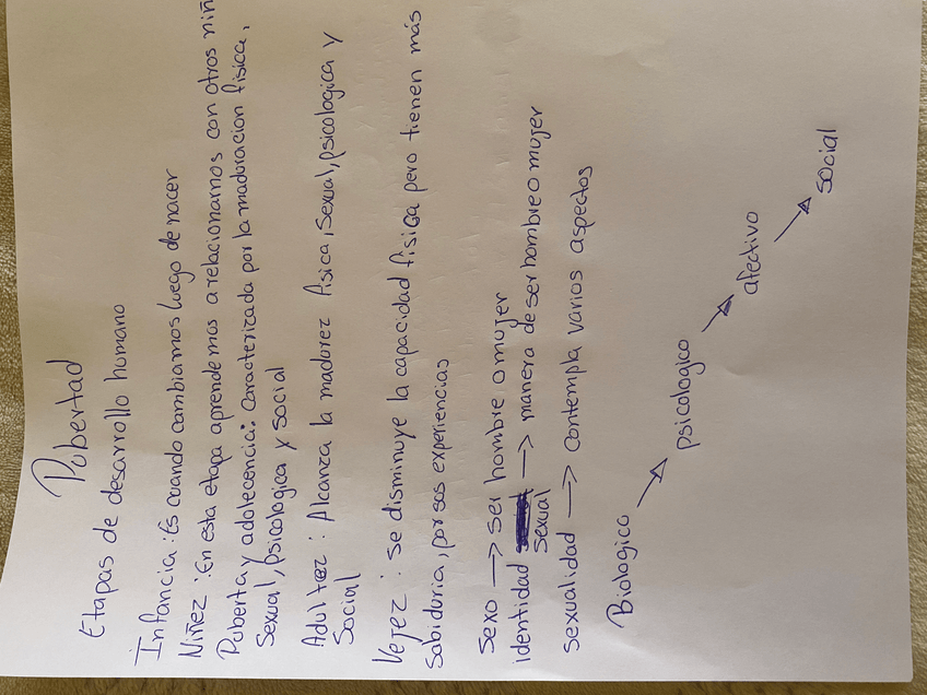 Miniatura del documento IMG1040.jpeg