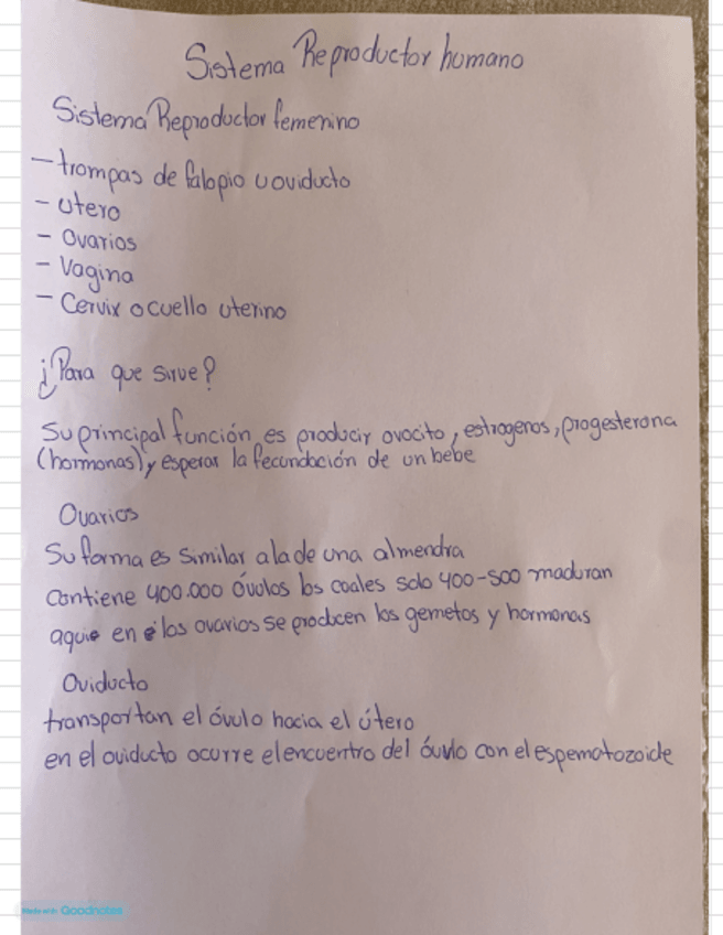 Miniatura del documento Bloc-de-notas-sin-titulo.pdf