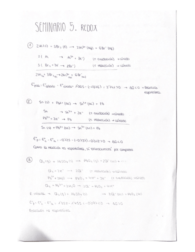 Miniatura del documento Seminario-5.-Redox.pdf