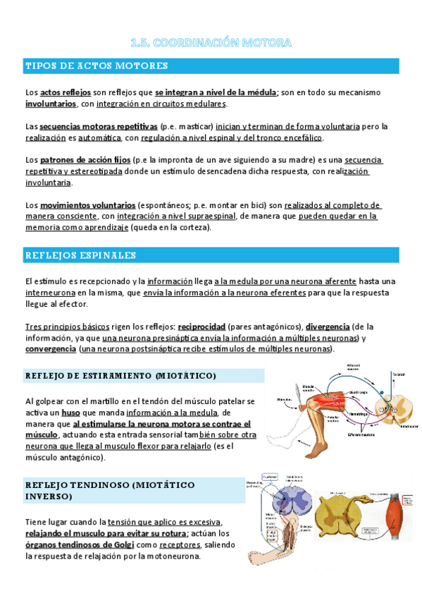 Miniatura del documento FANI-1.5-T5-COORDINACION-MOTORA.pdf