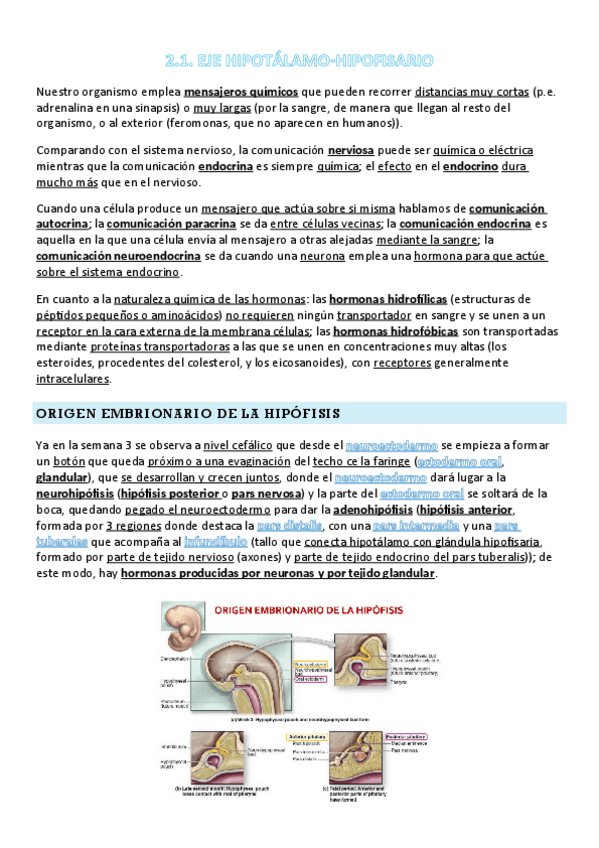 Miniatura del documento FANI-2.1-T7-EJE-HIPOTALAMO-HIPOFISARIO.pdf