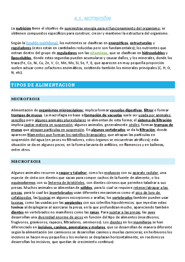 Miniatura del documento FANI-4.1-T14-NUTRICION.pdf