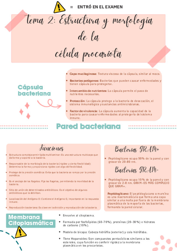 Miniatura del documento TEMA-2-ANOTACIONES-DE-LO-QUE-ENTRO-EN-EL-EXAMEN.pdf