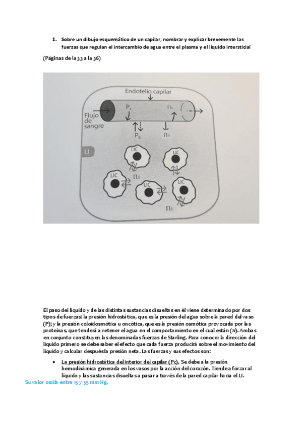 Miniatura del documento fisiologia-examen-definitivo.pdf