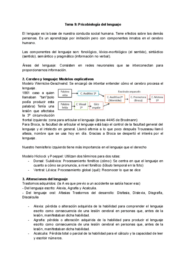 Miniatura del documento Tema-9.-Psicobiologia-del-lenguaje.pdf