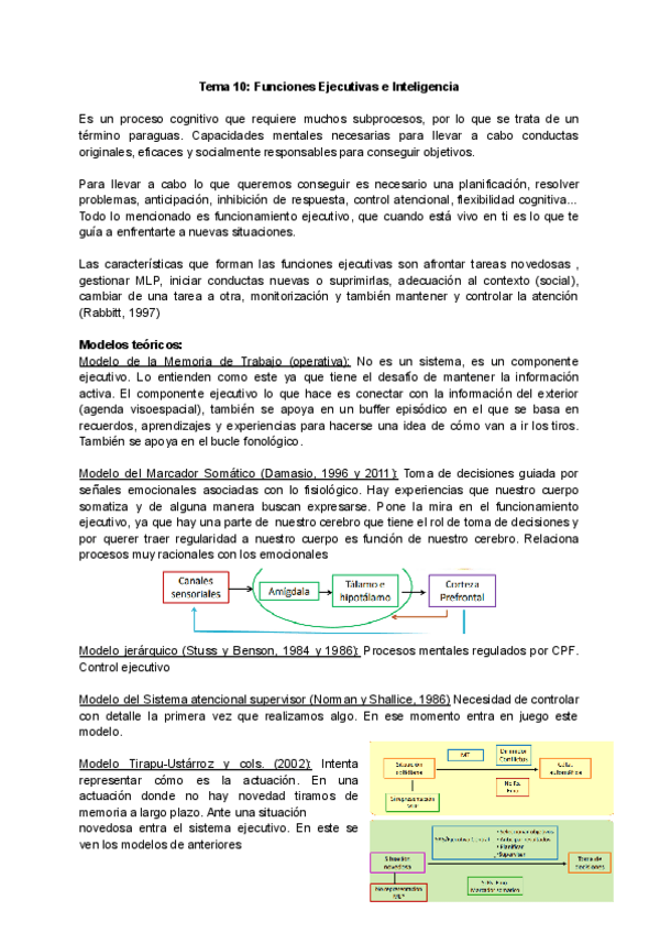 Miniatura del documento Tema-10.-Funciones-Ejecutivas-e-Inteligencia.pdf