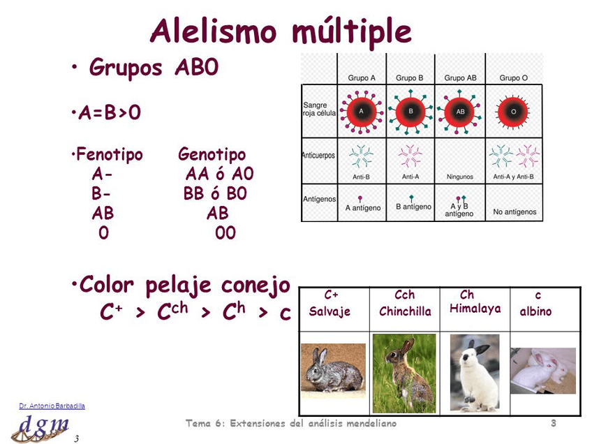 Miniatura del documento alelismo-multiple.jpg