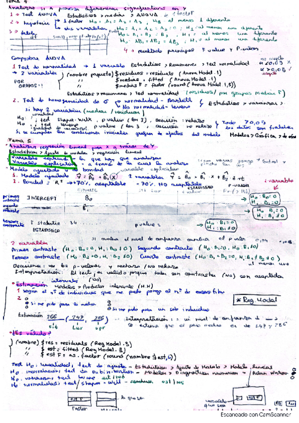 Miniatura del documento parcial-2.pdf