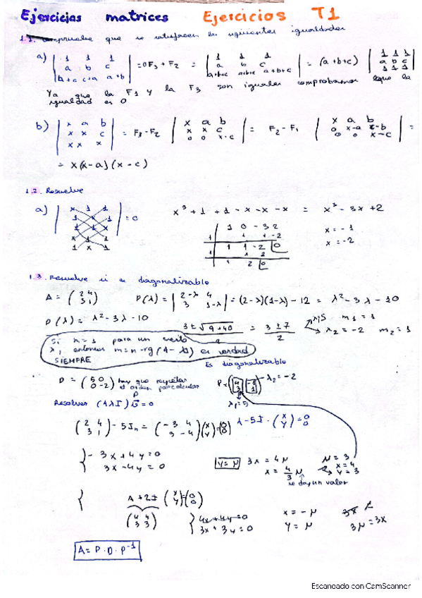 Miniatura del documento diagonalizacion-de-matrices.pdf