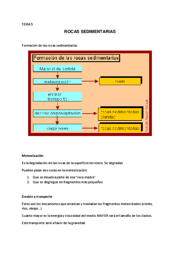 Miniatura del documento Tema-5-geologia.pdf