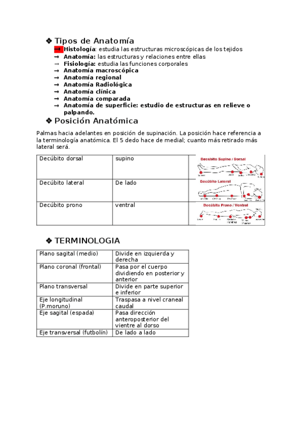 Miniatura del documento 1-cuatri-ALICIA.docx