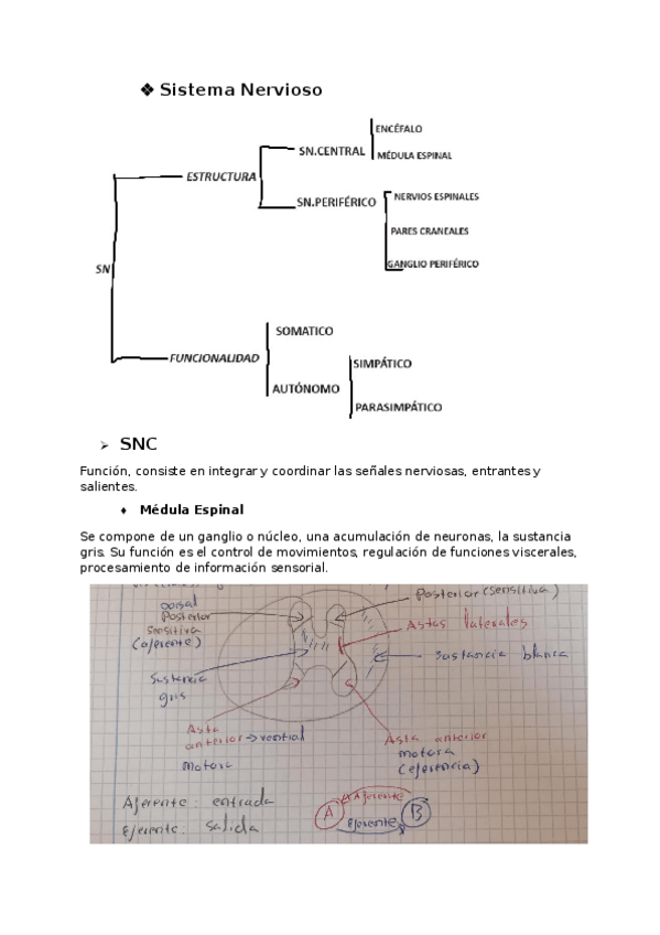 Miniatura del documento 2-cuatri-ALICIA.docx