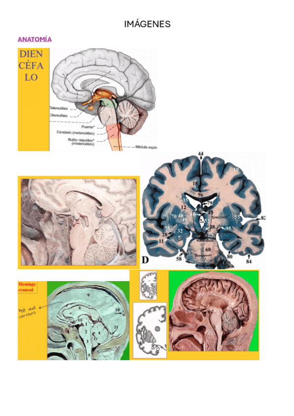 Miniatura del documento IMAGENES.pdf