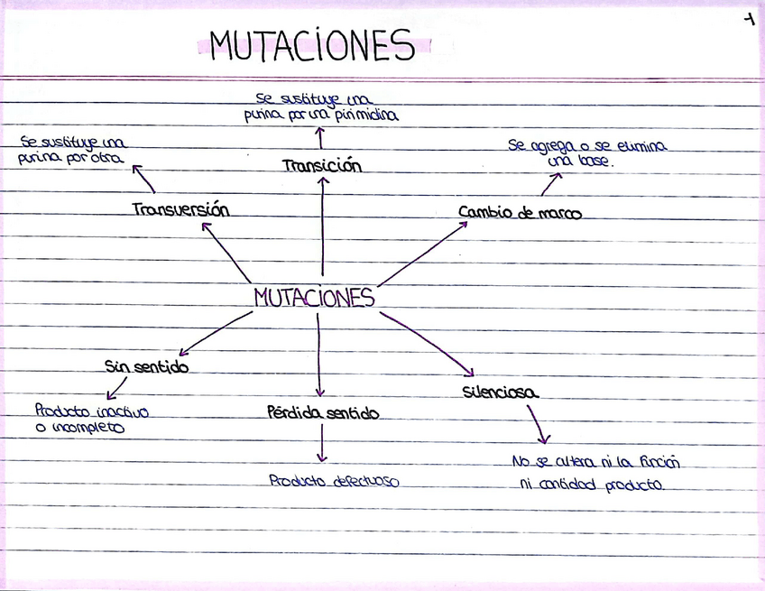 Miniatura del documento Tema-2-Toxicologia.pdf