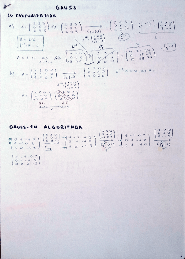 Miniatura del documento Gauss-ELS.pdf