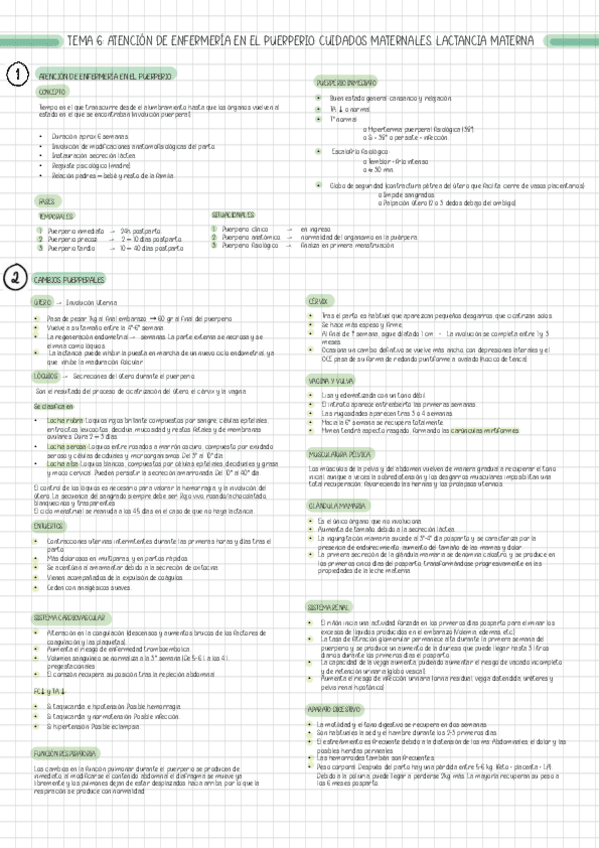 Miniatura del documento T6-PUERPERIO-LACTANCIA.pdf