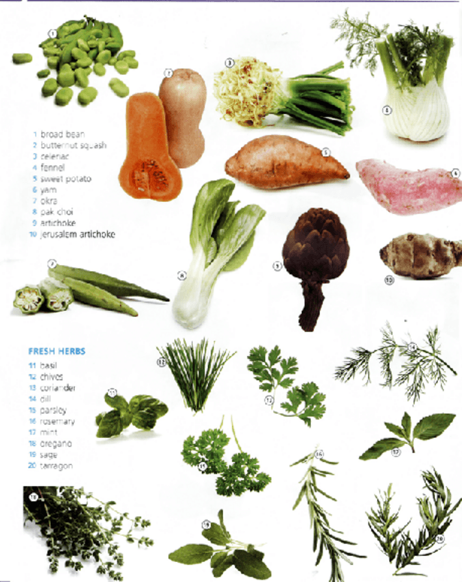 Miniatura del documento Vocabulario-comida.pdf
