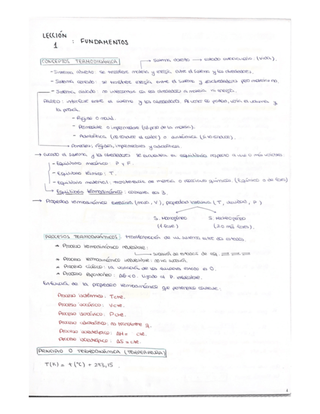 Miniatura del documento LECCION-1.pdf