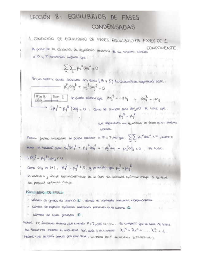 Miniatura del documento LECCION-8.pdf