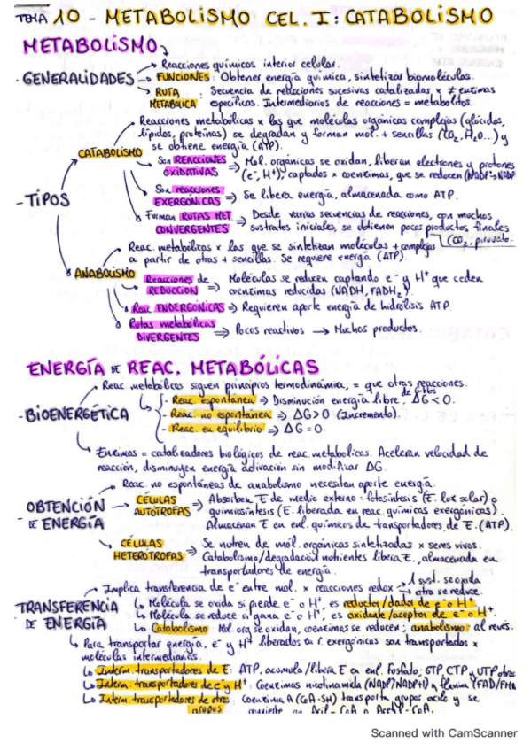 Miniatura del documento esquema-tema-10-metabolismo-celular-catabolismo-biologia.pdf