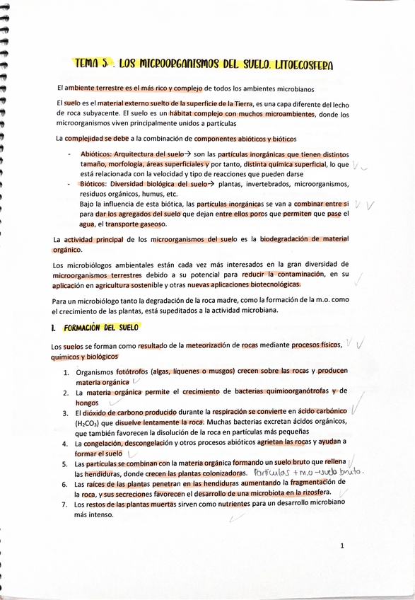 Miniatura del documento MicroT5.pdf