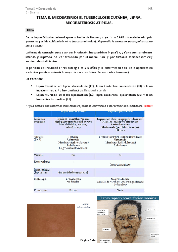 Miniatura del documento TEMA-8.-MICOBACTERIOSIS.pdf