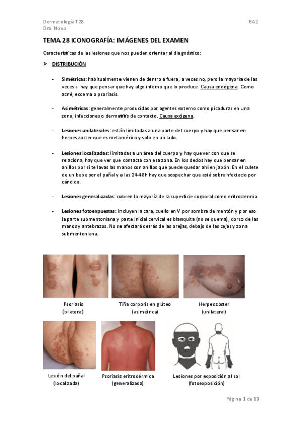 Miniatura del documento TEMA-28.-ICONOGRAFIA.pdf
