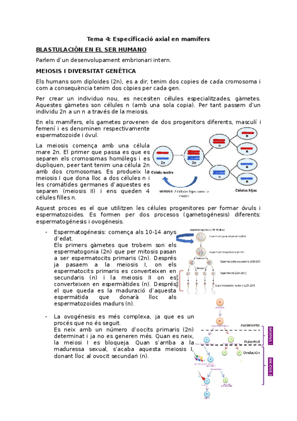 Miniatura del documento Tema-4.odt