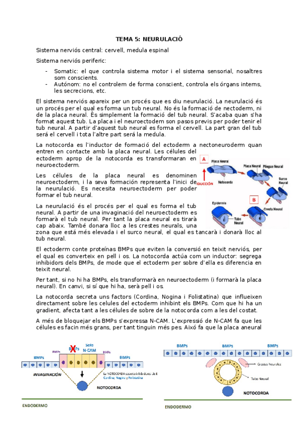 Miniatura del documento TEMA-5.odt