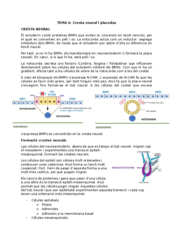 Miniatura del documento TEMA-6.odt