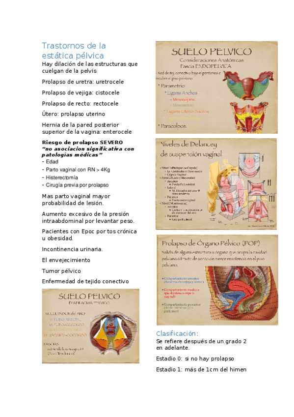 Miniatura del documento prolapsos.docx