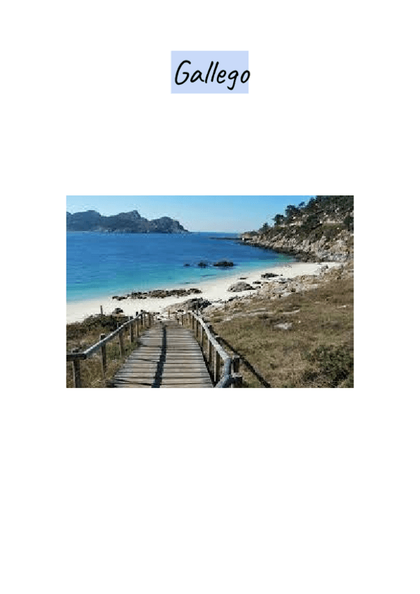 Miniatura del documento Historia-del-Gallego.pdf