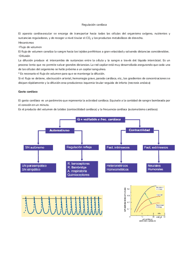 Miniatura del documento Tema-8.-Regulacion-cardiaca.pdf