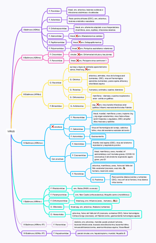 Miniatura del documento Esquema-Virus.pdf