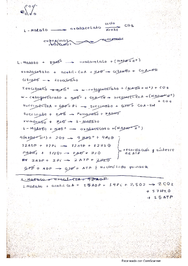 Miniatura del documento Ejercicio-balance-examen-2021.pdf