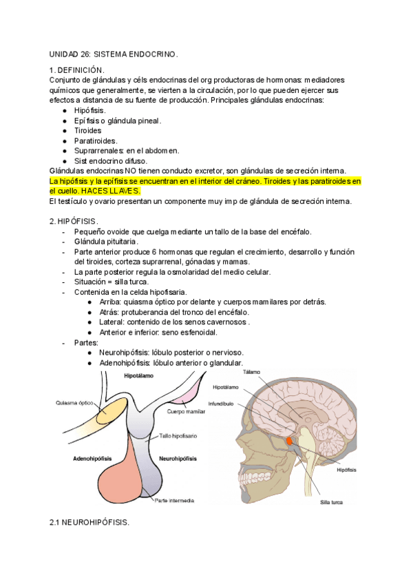 Miniatura del documento UNIDAD-26-27-y-28-anatomia-humana.pdf