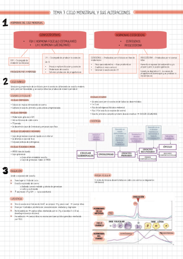 Miniatura del documento T7-CICLO-MENSTRUAL.pdf