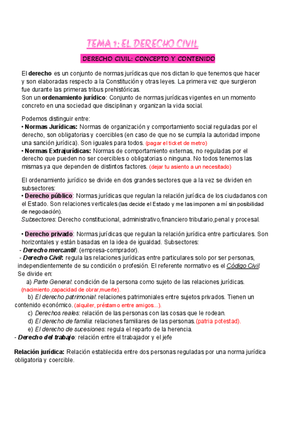 Miniatura del documento tema-1-CIVIL.pdf
