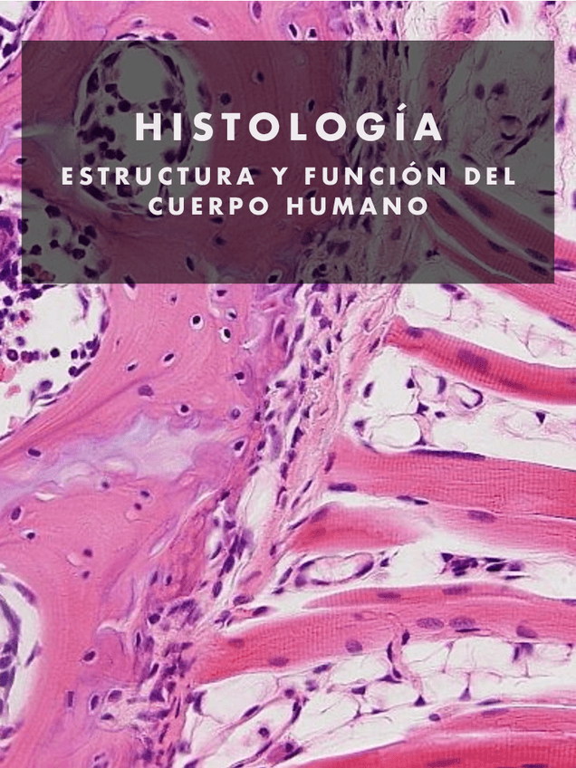 Miniatura del documento 1.-Histologia.pdf