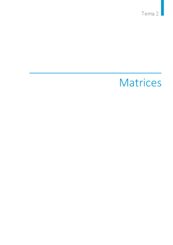 Miniatura del documento Tema-2.-Matrices.pdf