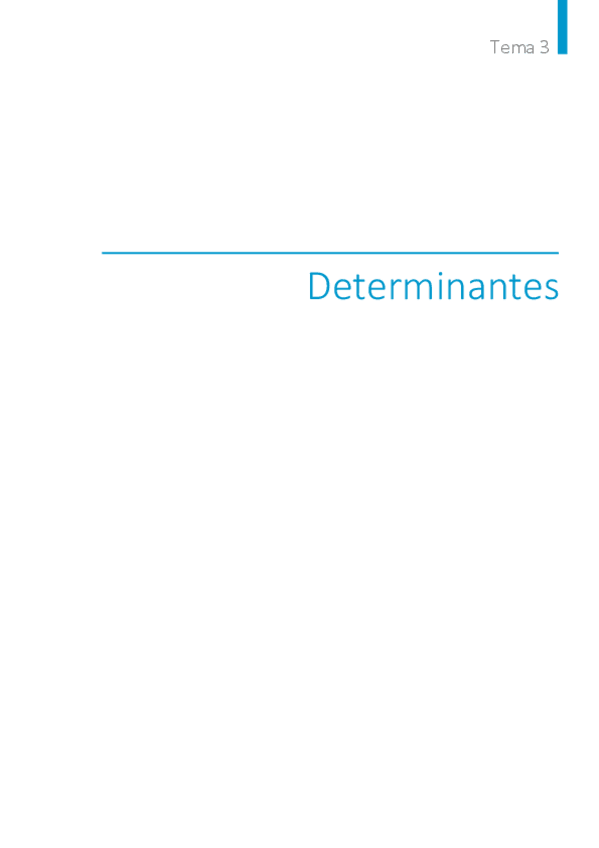 Miniatura del documento Tema-3.-Determinantes.pdf