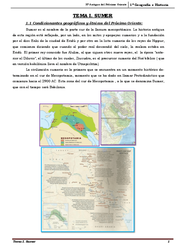 Miniatura del documento TEMA I. SUMER.pdf