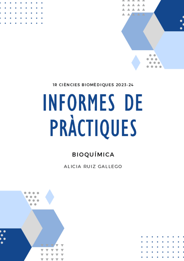 Miniatura del documento informe-practiques.pdf